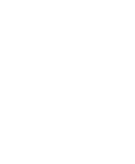 shield icon